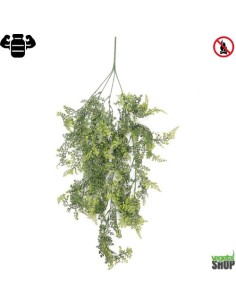 Asplenium x5 Fern 60 cm gris vert artificiel plante vegetal shop
