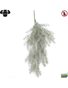 Asparagus x10 gris vert trail 65 cm artificiel plante ignifuge vegetal shop