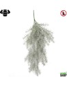Asparagus x10 gris vert trail 65 cm artificiel plante ignifuge vegetal shop