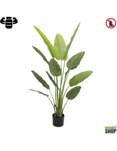 Plante artificielle 2X Strelitzia Nicolai 180 cm IGNIFUGÉ (pot inclus) anti UV vegetal shop