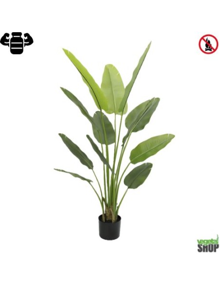 Strelitzia Nicolai X2 180 cm IGNIFUGÉ Plante artificielle pot inclus) anti UV vegetal shop