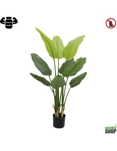 Plante artificielle Strelitzia Nicolai 120 cm (pot inclus) ignifuge anti feu vegetal shop