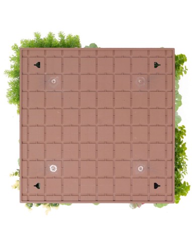 Lot 10+1 offert Mur de FLEUR SUCCULIA 1M2 décoration institut beaute esthetisme anti UV extérieur vegetal shop