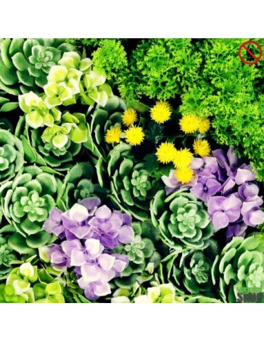 Lot 10+1 offert Mur de FLEUR SUCCULIA 1M2 décoration institut beaute esthetisme anti UV extérieur vegetal shop