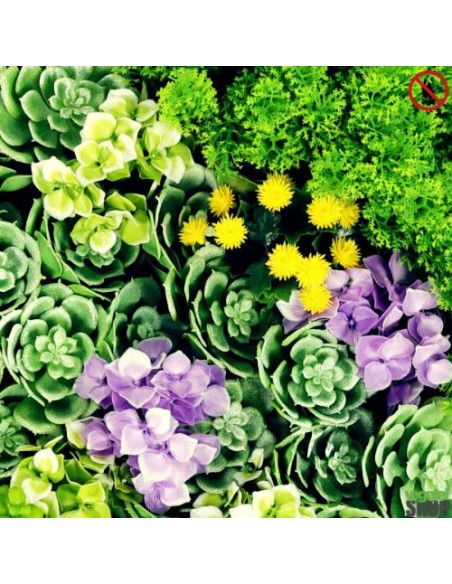 Lot 10+1 offert Mur de FLEUR SUCCULIA 1M2 décoration institut beaute esthetisme anti UV extérieur vegetal shop