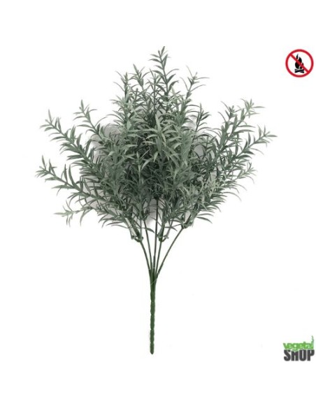 Asparagus x24 vert clair plante ignifuge anti-feu vegetal shop