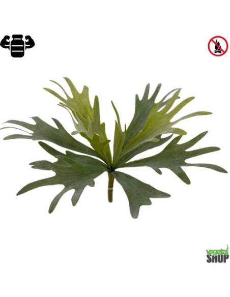 Platycerium algue 36cm plante artificielle ignifugee Vegetal Shop