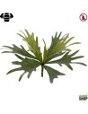 Platycerium algue 36cm plante artificielle ignifugee Vegetal Shop