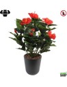Fleur X12 hibiscus rouge Plante artificielle ignifuge anti feu vegetal shop