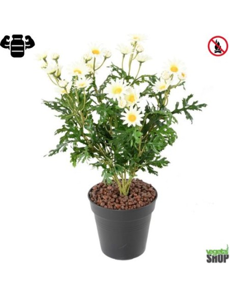 Fleur X12 marguerite blanche artificielle ignifuge anti feu vegetal shop