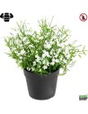 Fleur X12 marguerite petite blanche plante artificielle ignifuge anti feu vegetal shop