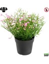 Fleur X12  marguerite rose artificielle ignifuge anti feu vegetal shop