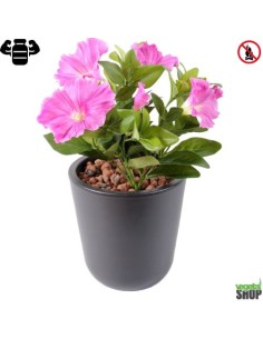 Fleur X12 petunia rose artificielle ignifuge anti feu vegetal shop