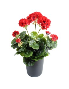 Fleur X12geranium rouge Plante artificielle ignifuge anti feu vegetal shop