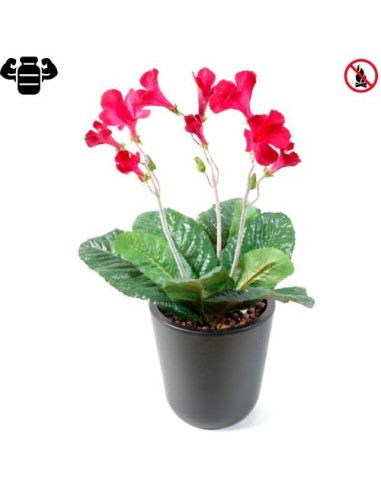 Fleur X12 streptocarpus rouge Plante artificielle ANTI UV NON IGNIFUGEvegetal shop