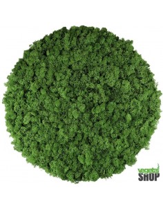 Cercle végétal lichen...