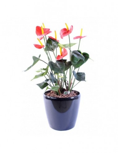 Plante Anthurium artificiel H50...